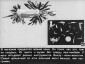 Учебный диафильм. «Рассказ о перочинном ножике» Г. Юрмин. 1958 г. 45 кадров.