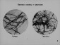 Учебный диафильм в 3 частях. «Производство бумаги». Инженер-технолог Ф.А. Шитов. Издание 1967 г. Тираж: 1974,1978 г.г.